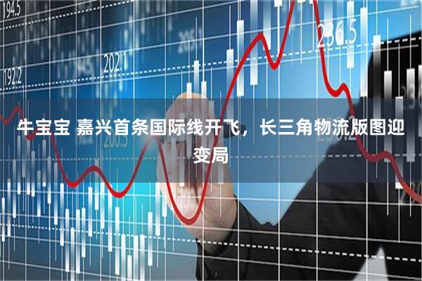 牛宝宝 嘉兴首条国际线开飞，长三角物流版图迎变局